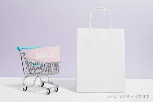 功之道：案例解析与经验总结龙8体育跨境电商独立站成(图2)