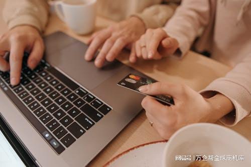 功之道：案例解析与经验总结龙8体育跨境电商独立站成(图13)