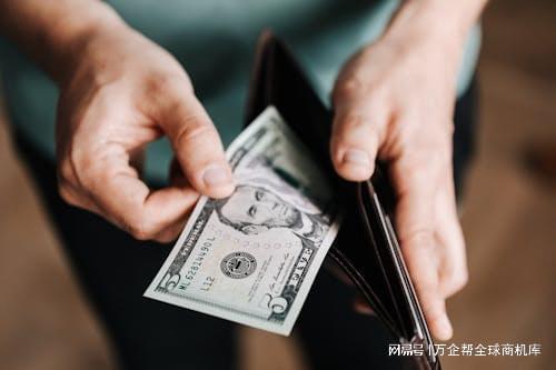 功之道：案例解析与经验总结龙8体育跨境电商独立站成(图9)