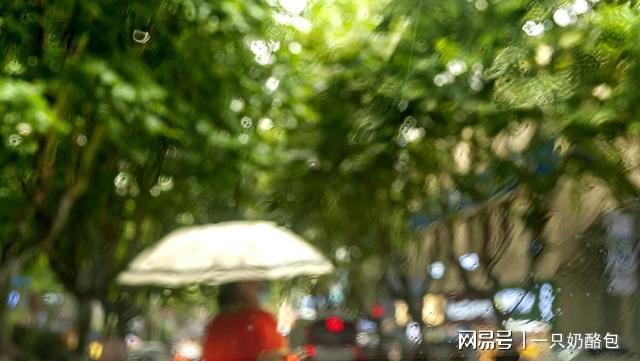 雨季提前来这些准备不做要吃亏2025江浙沪入梅偏早！梅(图3)