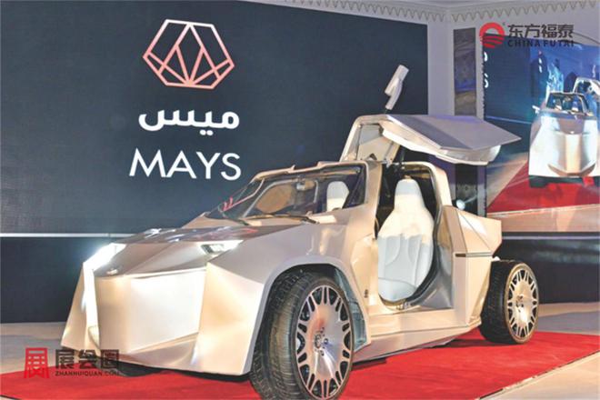 车及充电桩展OEVS 20252025年阿曼国际新能源电动(图5)